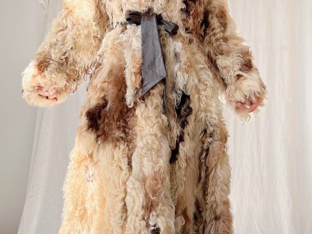 1970s Rare Sheared Curly Lamb Coat - M Supply