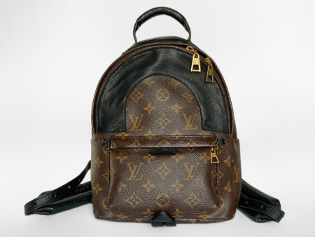 Louis Vuitton Palm Springs Backpack Monogram Canvas on Sale