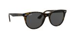 Wayfarer Ii RB2185 Ray Ban Sunglasses Supply