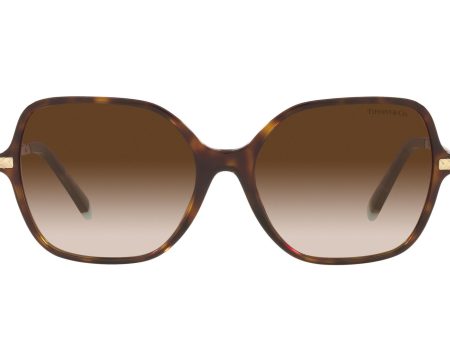 Tf4191 Tiffany & Co. Sunglasses For Cheap